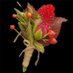 Victor Schinazi (@vschinazi) Twitter profile photo Victor Schinazi (@vschinazi) Twitter profile photo