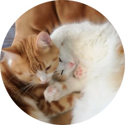 YouTubeで猫とオーディオの動画を投稿しています。