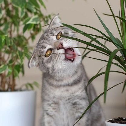 danil_zaychenko's profile picture. 