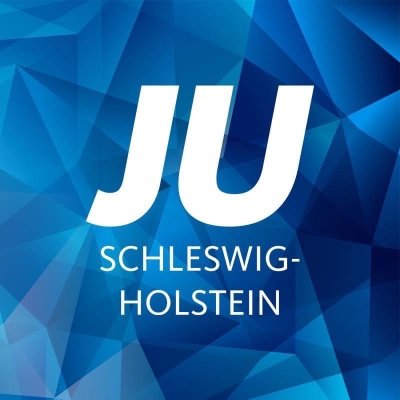 Die Junge Union ist die größte politische Jugendorganisation in Schleswig-Holstein.