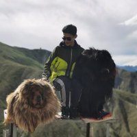 Xiang Zeng (@xiangzeng0) 's Twitter Profile