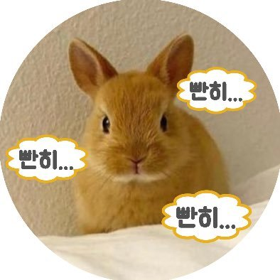 ⋆ ₊ ﾟ ☽ * ₊ ⋆さんのプロフィール画像