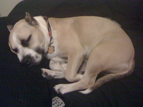 Ichthyosis1987's profile picture. 