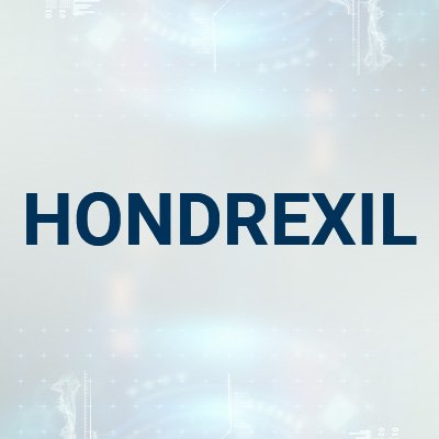 hondrexil Profile Picture