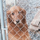 Sara Fry - @SaraFry2 - Twitter