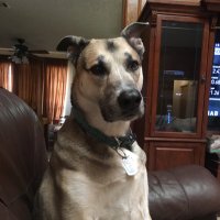 Tommy Lyles 🇺🇸 (@tommylyles101) 's Twitter Profile Photo Tommy Lyles 🇺🇸 (@tommylyles101) 's Twitter Profile Photo