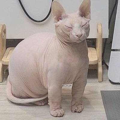 N30nAnd's profile picture. Blorbo enjoyer
Jackson ⚧ 🇵🇸
He/him adult
People enjoyer, here for boobs cock and cool bugs
And other cool art I find
Occasional opinions ig