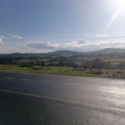 KimanitheeKang's profile picture. 