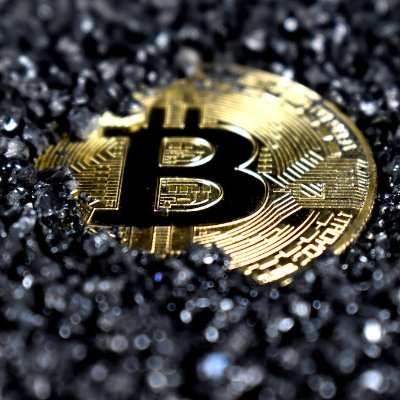 sunshineorange8's profile picture. “The biggest risk of all is not taking one.” - Mellody Hobson