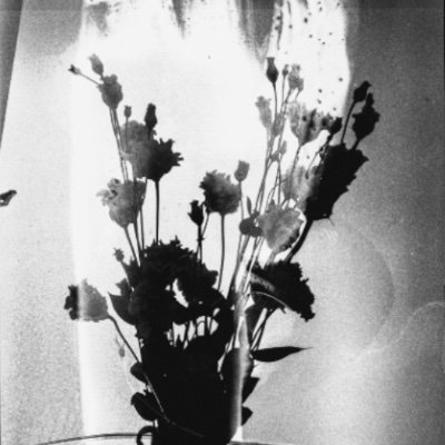 Photographe de portraits et de natures mortes. Projet argentique