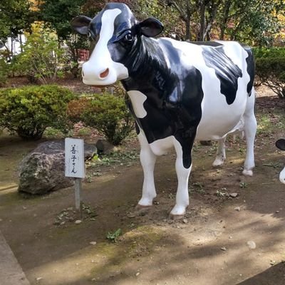 お城🏯、神社仏閣、美しいもの好きで、アナにスト。
真面目な仮面を被った変態。
レス状態の為、新たな快楽の追求を初めました。大好きなお城🏯、寺社仏閣や景勝地散策と、露出もしちゃう!　　　只今、ドライオーガスムと男の潮吹き開拓中
基本、女性好きですが。（笑）
ポリセクシャル