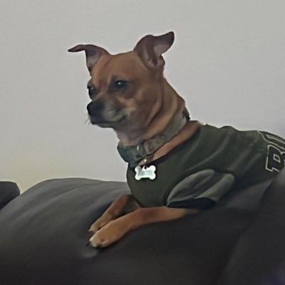 LEAVZx's profile picture. PNW🌲 19♌️ Cubs🐻⚾️ Bears🐻🏈 Meghan🩷✨