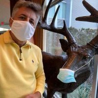 Russell Bruce (@russell62377306) 's Twitter Profile