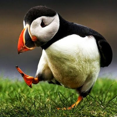 naoisekavanagh1's profile picture. Communications | Digital | Editor