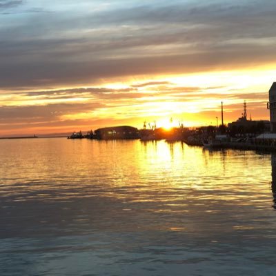 kZSLMBq9MB79IMW's profile picture. 