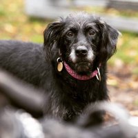 Isabelle75019 (@isabellevillou3) 's Twitter Profile