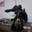 jguz800's profile image