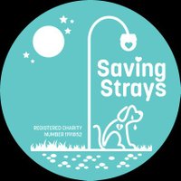 Saving Strays 🐾🐶🐕(@SavingStraysUK) 's Twitter Profile Photo