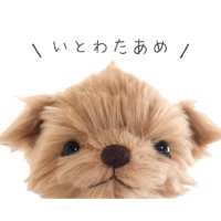 💭いとわたあめ💭美桜 (@itowataame) 's Twitter Profile Photo 💭いとわたあめ💭美桜 (@itowataame) 's Twitter Profile Photo