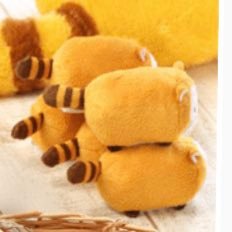 Rascal2011M's profile picture. ラスカル大好き歴18年😍大好き過ぎる❤️ぬいぐるみ抱っこし過ぎて毛がもしょもしょ…