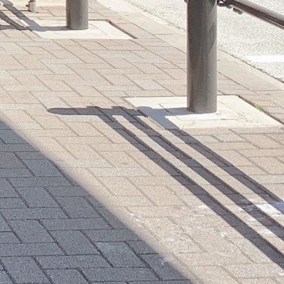 雲丹丼さんのプロフィール画像
