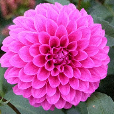 somesunnyday07's profile picture. I want to live happily.