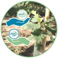 LaboraTree (@laboratreeuk) 's Twitter Profile