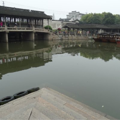 little_eastfish's profile picture. 