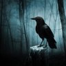 Real_Raven_Rain's profile picture. The Resident Raven Of ASMR