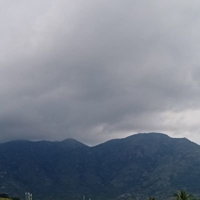 samlovely28's profile picture. 