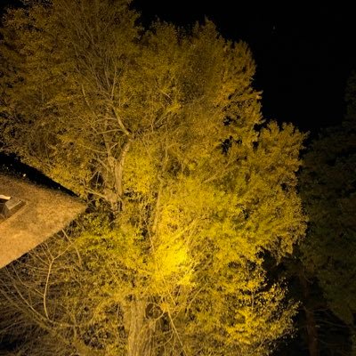 ForyouGive's profile picture. RUSTcs版総プレイ1300時間の雑魚です！ファーム、電気関係そこそこやります！