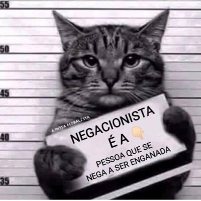 gatodesenganado's profile picture. Natural do Brasil, país onde se toma bebida tipo café, abastece-se o carro com combustível tipo gasolina e vive-se em uma ditadura tipo democracia. 🤡