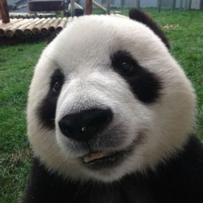 isidsalim's profile picture. Dr.(PhD), Chemistry, Post Doctoral Fellow, Photography Enthusiast, Visva Bharati, IIT Dhanbad, Table Tennnis.
https://t.co/D95elE5QmC…