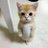 Funny Cat Tweets - 23