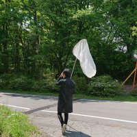 よう先生 (@yosennsei) Twitter profile photo