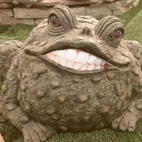 BoVodio Toad(@BovodioToad) 's Twitter Profile Photo