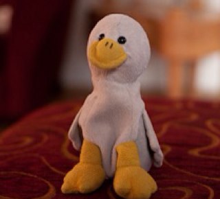 agnihotri's profile picture. 