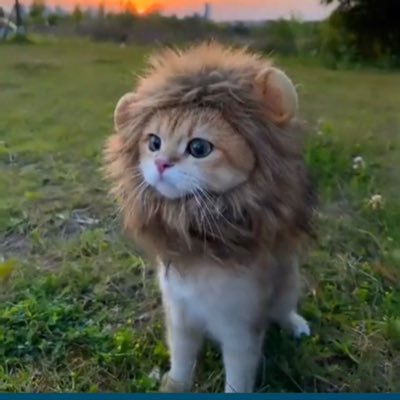 iColSlanders's profile picture. Heteronormative. I work to expose corrupt Marxists using facts, news, and humor. My pronouns are USA. No CRYPTO, Porn, or DM’s. VERITAS VINCIT.