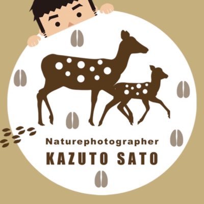 1984年 奈良市生まれ KAZUTO PHOTO OFFICE 代表 Plus+Photo写真教室 講師 / EOS学園 大阪校 講師 YouTube「ふぉとかずとくん」 2022年11月16日 奈良の鹿シリーズ第4弾写真集「明日、シカに会いに行こう」-奈良公園で見つけた幸せのかたち- 発売決定🦌✨