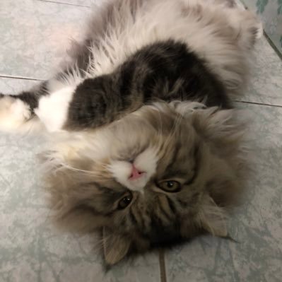 ฟอลมาไม่โอนจะบล็อก ค่าปลดบล็อก500ทำตัวไม่น่ารักเราจะบล็อคคุณออกจากแอคล็อคของเราช่วยให้เกียรติกันด้วยค่ะ ถ้าคลิปหลุดเลิกทำ ลงงาน2/เดือน ทุกสิ้นเดือนทีเดียว งดทวง