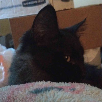 SgtDevRupesh's profile picture. Game Dev 🕹