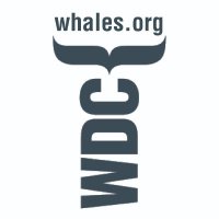 Whale & Dolphin Conservation (WDC)(@whales_org) 's Twitter Profile Photo