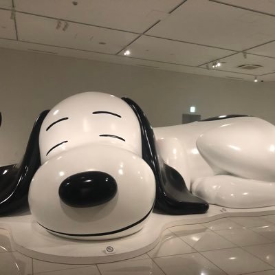 mntc_10's profile picture. 