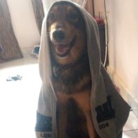 Giftedhands (@gomafuwere) 's Twitter Profile