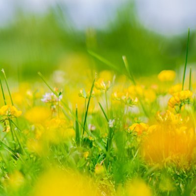 ずっと気になっていたWeb制作の勉強を #テックアカデミー で開始(2022.10.27)→学習期間終了(2023.2.12)|はじめての副業コース(第60期)|実力判定テストに合格して、テックアカデミーワークスで春には副業を始めたい| 保育士|40代|小4・小6の子どもと3人暮らし