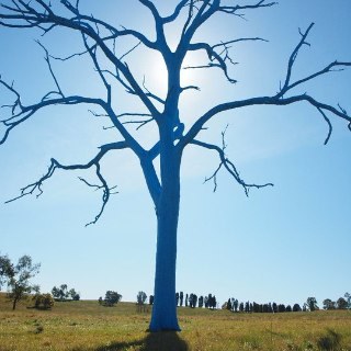 erin_burton's profile picture. Primary and Gifted Ed specialist. Dual passions in fusing creative and challenging curriculum with eLearning. Looking towards future learning possibilities.