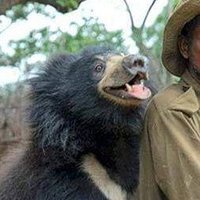 bear of bear hall (@abearonabike) 's Twitter Profile Photo bear of bear hall (@abearonabike) 's Twitter Profile Photo
