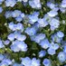 @BDCrJpBOIMg5Z99