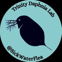 SickWaterFlea@TCD (@sickwaterflea) 's Twitter Profile Photo SickWaterFlea@TCD (@sickwaterflea) 's Twitter Profile Photo