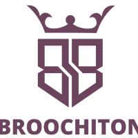 broochiton(@broochiton) 's Twitter Profile Photo